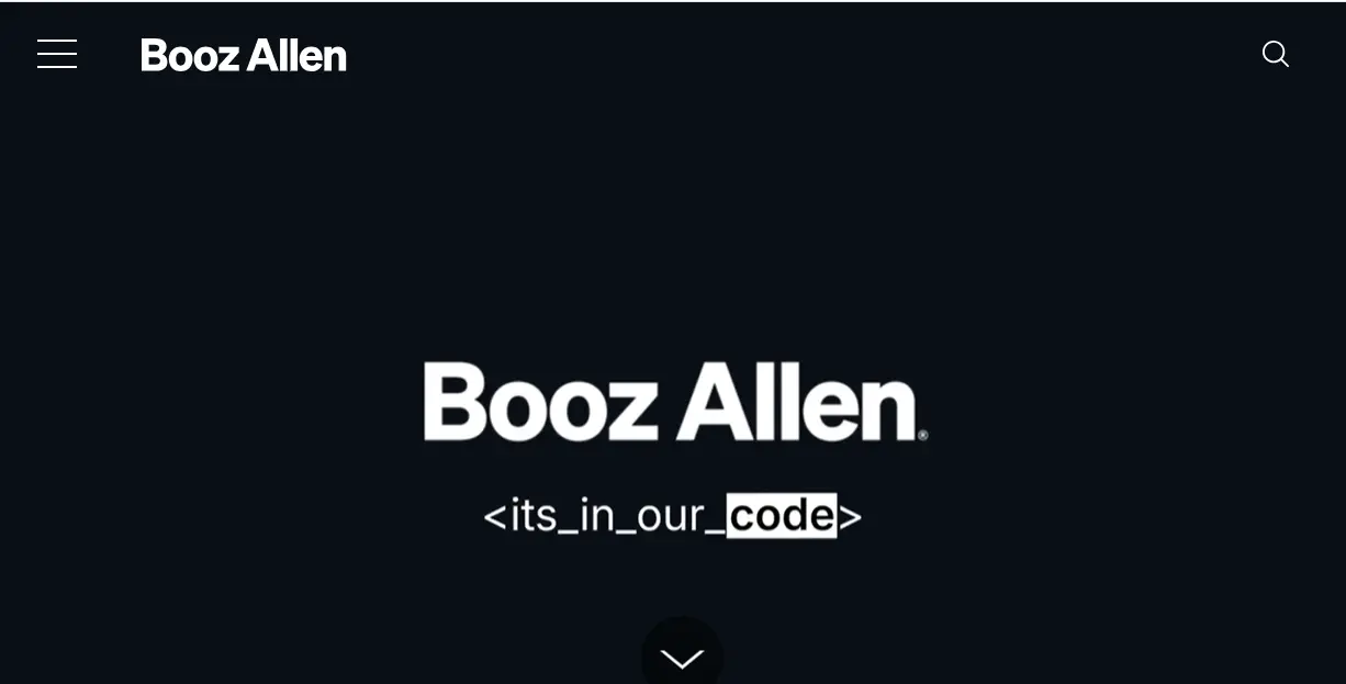 8. Booz Allen Hamilton